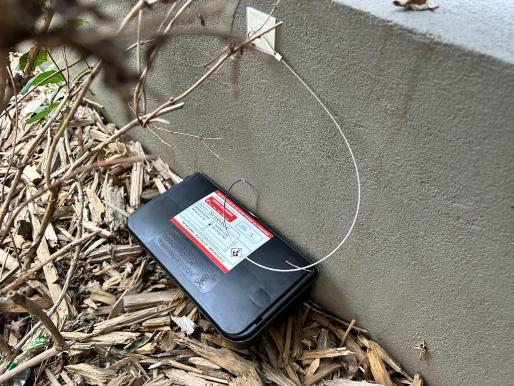 Dératisation-dératiseur