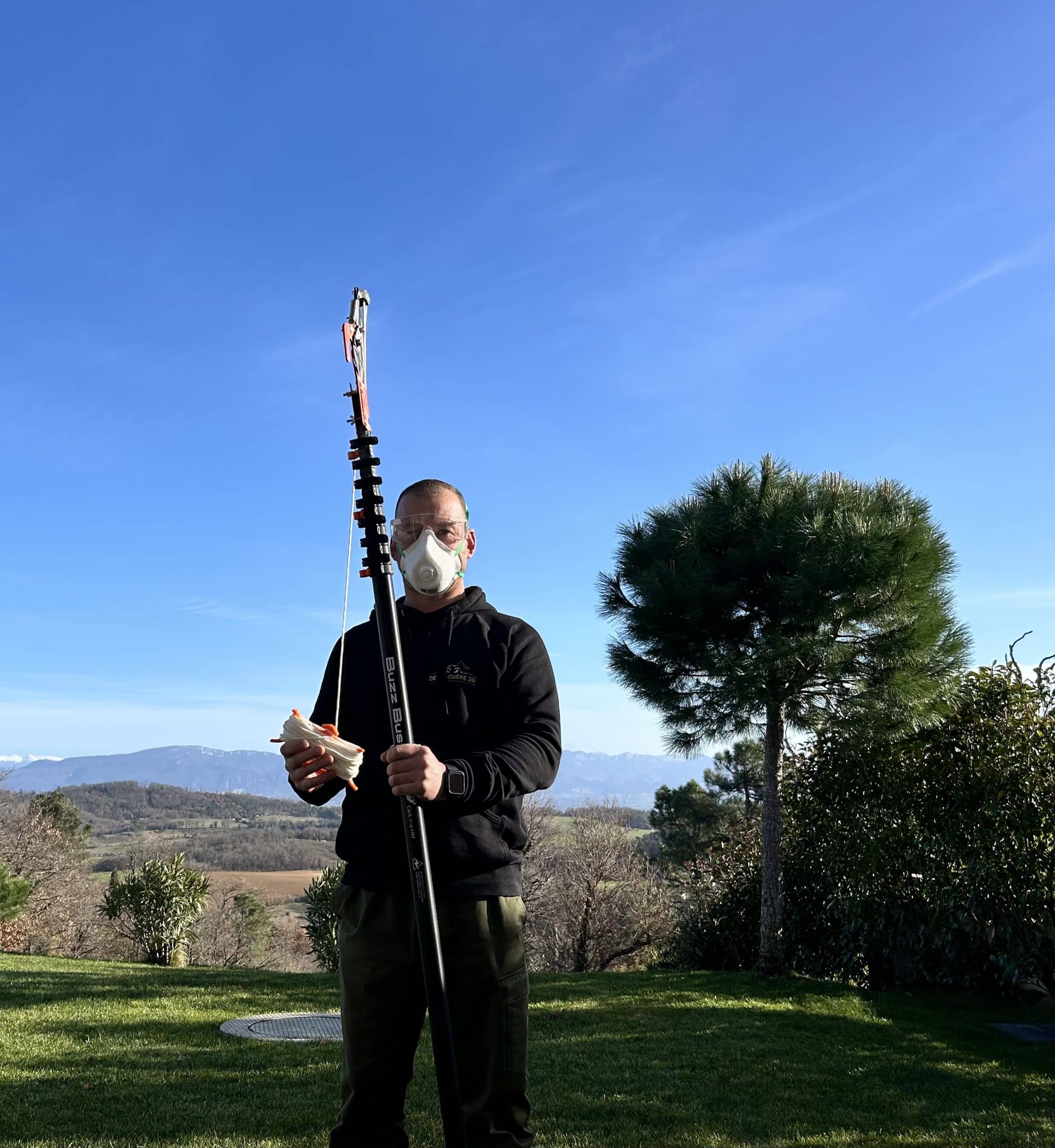 chenilles processionnaires