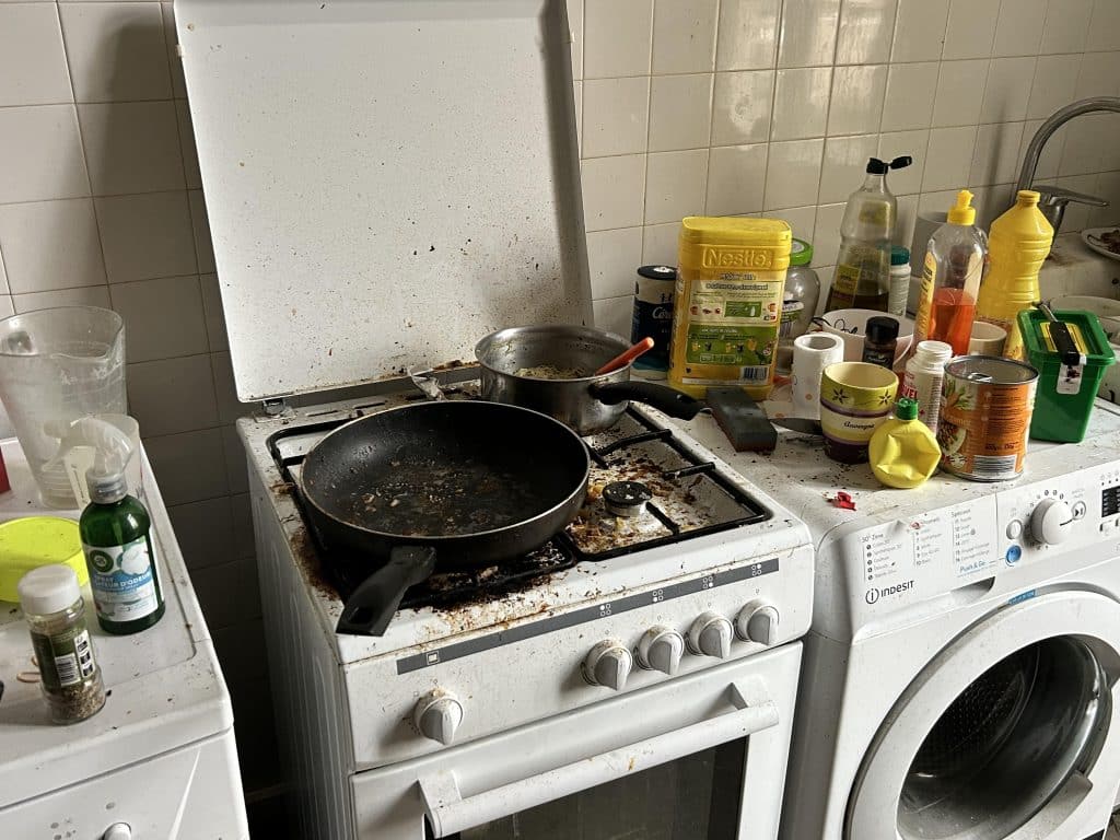 cafards dans la cuisine